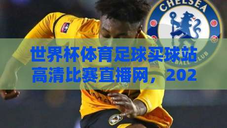 世界杯体育足球买球站高清比赛直播网,2026年观赛与投注新体验