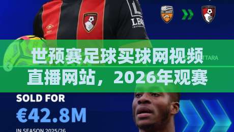 世预赛足球买球网视频直播网站,2026年观赛与购彩指南大揭秘