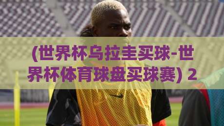 (世界杯乌拉圭买球-世界杯体育球盘买球赛) 2026年卡塔尔世界杯，乌拉圭球迷的买球江湖与理性博弈