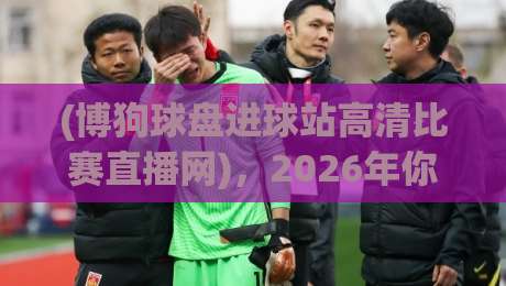 (博狗球盘进球站高清比赛直播网)，2026年你怎么选？