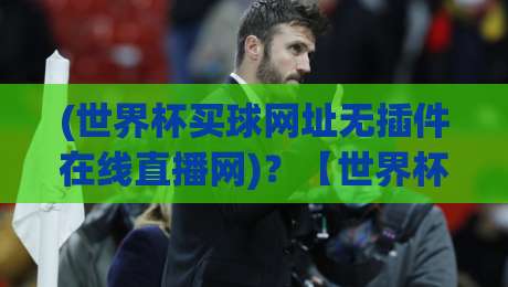 (世界杯买球网址无插件在线直播网)?【世界杯买球网址无插件在线直播网】小心陷阱!2026年最新合规观赛指南