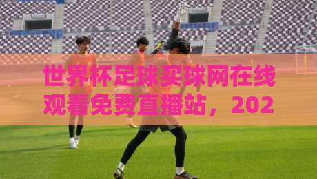 世界杯足球买球网在线观看免费直播站，2026年球迷必看的高清观赛指南！