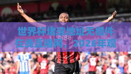 世界杯堵球地址无插件在线直播网,2026年观赛必备指南!