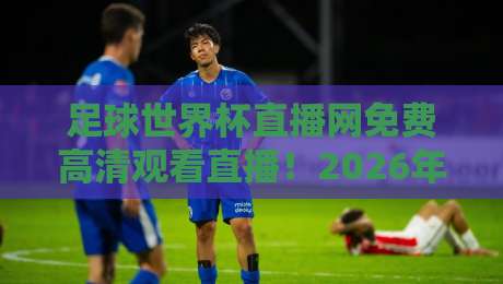足球世界杯直播网免费高清观看直播！2026年球迷必备的5个观赛渠道