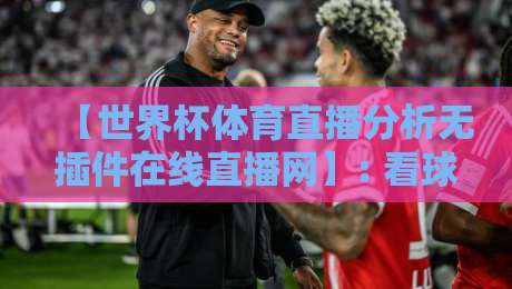 【世界杯体育直播分析无插件在线直播网】: 看球不卡顿，2026世界杯观赛新姿势