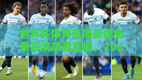 世界杯体育直播录像免费高清观看直播，2026年观赛新姿势全揭秘【世界杯高清直播】