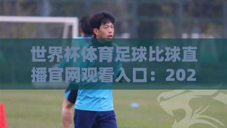 世界杯体育足球比球直播官网观看入口：2026年观赛新姿势，你找到了吗？