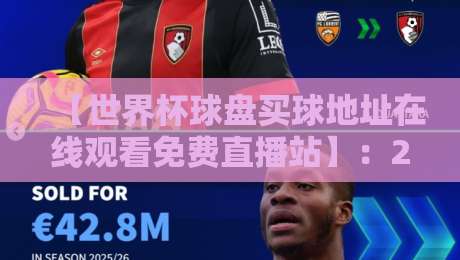 【世界杯球盘买球地址在线观看免费直播站】：2026年世界杯观赛全攻略与避坑提醒