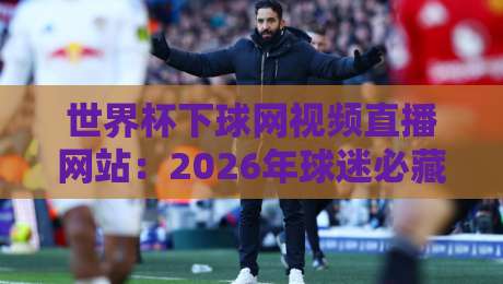 世界杯下球网视频直播网站：2026年球迷必藏的五大观赛平台
