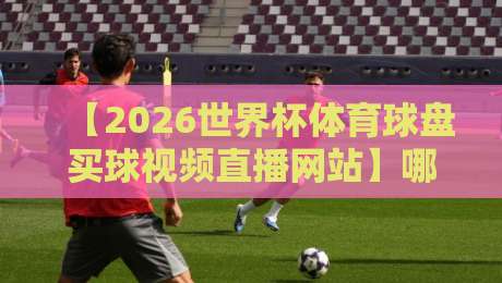 【2026世界杯体育球盘买球视频直播网站】哪儿靠谱？实测推荐与避坑指南