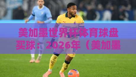 美加墨世界杯体育球盘买球：2026年（美加墨世界杯）新手避坑指南与实战技巧