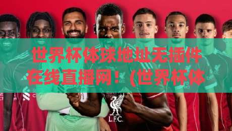 世界杯体球地址无插件在线直播网！(世界杯体球地址无插件在线直播网)2026年观赛新姿势，告别卡顿与插件