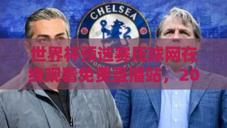 世界杯预选赛压球网在线观看免费直播站，2026年球迷必看的观赛指南与实战技巧