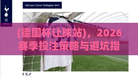 (德国杯让球站)，2026赛季投注策略与避坑指南