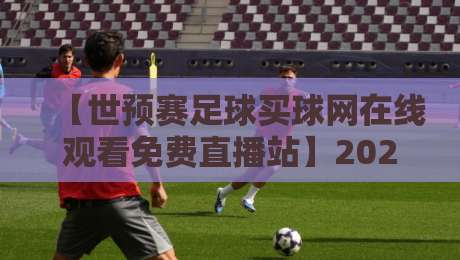 【世预赛足球买球网在线观看免费直播站】2026年观赛指南：这些渠道让你不错过每一场