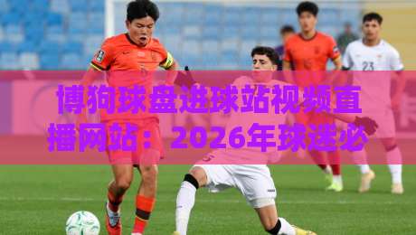 博狗球盘进球站视频直播网站：2026年球迷必备观赛新选择