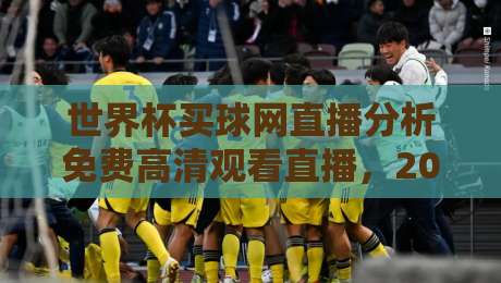 世界杯买球网直播分析免费高清观看直播，2026年球迷必备的观赛指南