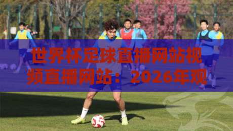 世界杯足球直播网站视频直播网站：2026年观赛指南与实用推荐