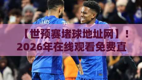 【世预赛堵球地址网】！2026年在线观看免费直播站，球迷必备指南