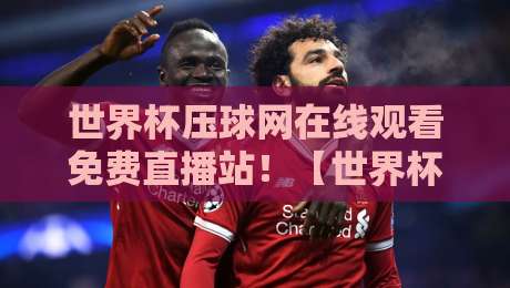 世界杯压球网在线观看免费直播站！【世界杯压球网在线观看免费直播站】2026年最全观赛指南
