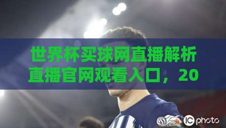 世界杯买球网直播解析直播官网观看入口，2026年球迷必看的正确打开方式