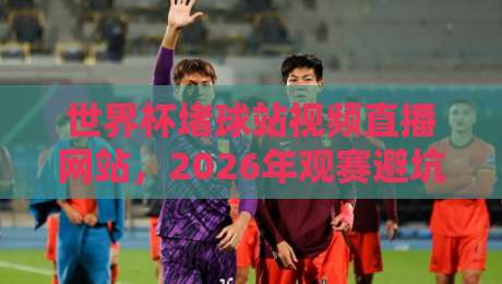 世界杯堵球站视频直播网站，2026年观赛避坑指南！