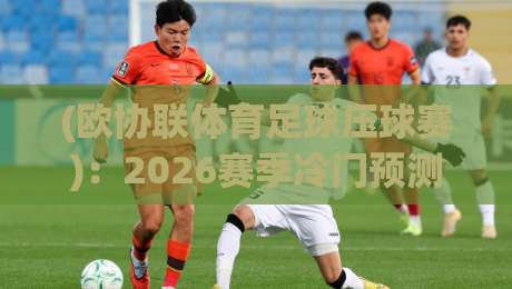 (欧协联体育足球压球赛)：2026赛季冷门预测与实战技巧