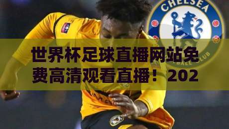 世界杯足球直播网站免费高清观看直播!2026观赛指南与避坑攻略(世界杯足球直播)