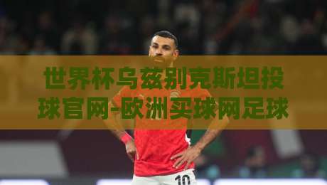 世界杯乌兹别克斯坦投球官网-欧洲买球网足球体育：2026世界杯投注平台实用测评与避坑指南