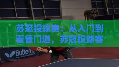 苏冠投球赛：从入门到看懂门道，苏冠投球赛的乐趣到底在哪？【苏冠投球赛】-网上热门博球网攻略排名回放无广告全场录像公司