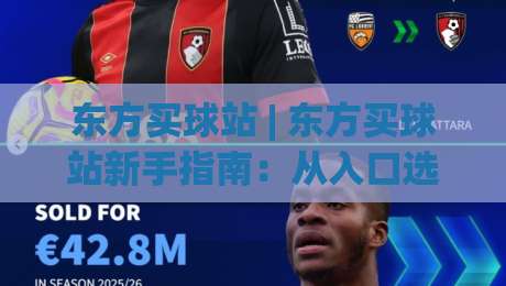 东方买球站 | 东方买球站新手指南：从入口选择到体验优化的实用思路-今日最新外围进球站精彩片段流畅代理1080P官网无插件