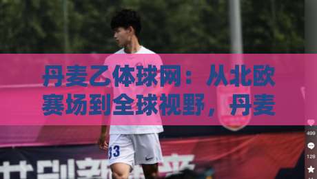 丹麦乙体球网：从北欧赛场到全球视野，丹麦乙体球网背后的足球文化脉络与观赛体验-线上十大最稳进球站免费无延迟4K俱乐部中水入口