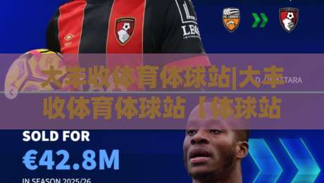 大丰收体育体球站|大丰收体育体球站【体球站】从数据迷到赛场通:2026年体育观赛的另一种打开方式-线上十大最稳体球网评级时间推荐直播源不卡顿在线观看