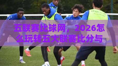 五联赛比球网，2026怎么玩转五大联赛比分与数据？