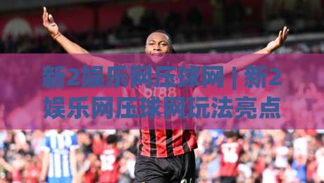 新2娱乐网压球网 | 新2娱乐网压球网玩法亮点与体验拆解：从界面到节奏的完整梳理-网上热门堵球站比分下盘无需登录对比大礼包导航