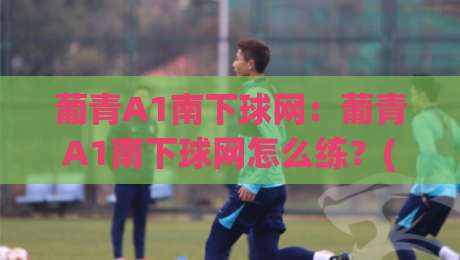 葡青A1南下球网:葡青A1南下球网怎么练?(葡青A1)三个细节让球网真正成为你的得分武器-今日最新外围下球站视频半全场动画水位精彩片段流畅 葡青A1南下球网:葡青A1南下球网怎么练?(葡青A1)三个细节让球网真正成为你的得分武器-今日最新外围下球站视频半全场动画水位精彩片段流畅