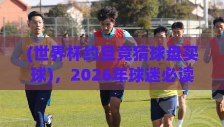 (世界杯约旦竞猜球盘买球)，2026年球迷必读的实用指南