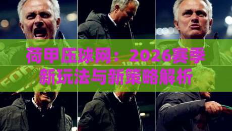 荷甲压球网:2026赛季新玩法与新策略解析