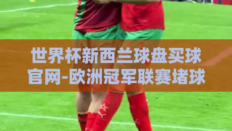 世界杯新西兰球盘买球官网-欧洲冠军联赛堵球网:2026年如何找到靠谱投注平台?