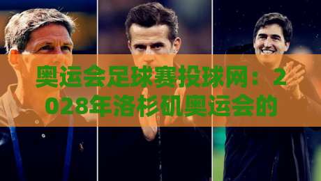 奥运会足球赛投球网：2028年洛杉矶奥运会的新标准与选型指南