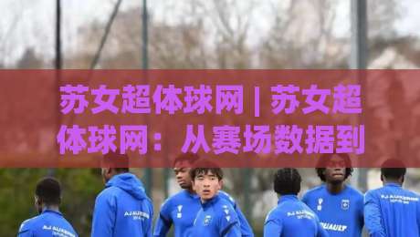苏女超体球网 | 苏女超体球网：从赛场数据到观赛体验的深度连接-网上热门让球站公司比分下盘无需登录对比大礼包