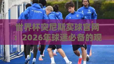 世界杯突尼斯买球官网:2026年球迷必备的观赛与投注指南