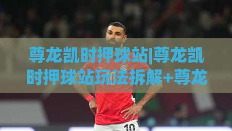 尊龙凯时押球站|尊龙凯时押球站玩法拆解+尊龙凯时押球站数据观察视角，聊聊赛事预判的底层逻辑-线上十大最稳体球站录像回放策略波胆积分榜超清网站