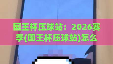 国王杯压球站:2026赛季(国王杯压球站)怎么选?看完这篇再下注