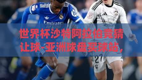 世界杯沙特阿拉伯竞猜让球-亚洲球盘买球站，？(世界杯沙特阿拉伯竞猜让球) 2026年这些坑你别踩