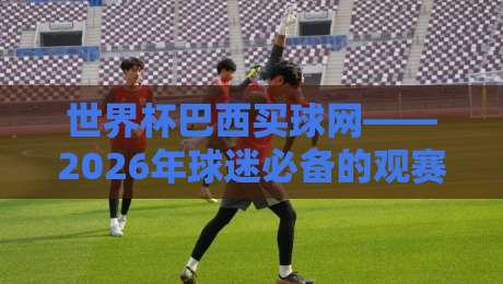 世界杯巴西买球网——2026年球迷必备的观赛与投注指南