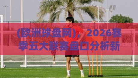 (欧洲球盘网),2026赛季五大联赛盘口分析新趋势