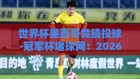 世界杯墨西哥竞猜投球-冠军杯堵球网：2026年最新玩法详解与避坑指南（世界杯墨西哥竞猜投球）