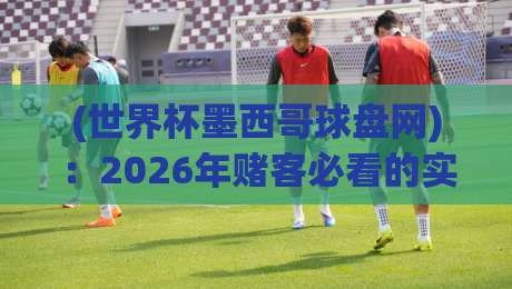 (世界杯墨西哥球盘网):2026年赌客必看的实战指南与避坑技巧