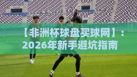 【非洲杯球盘买球网】: 2026年新手避坑指南与平台推荐